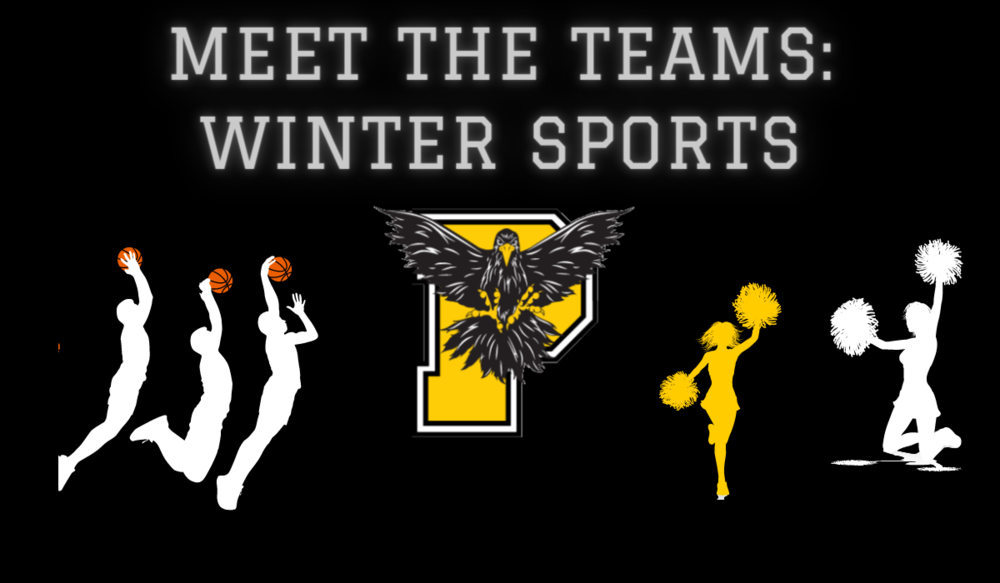 Meet The Teams