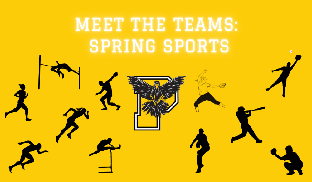 Meet the Teams: Spring Sports