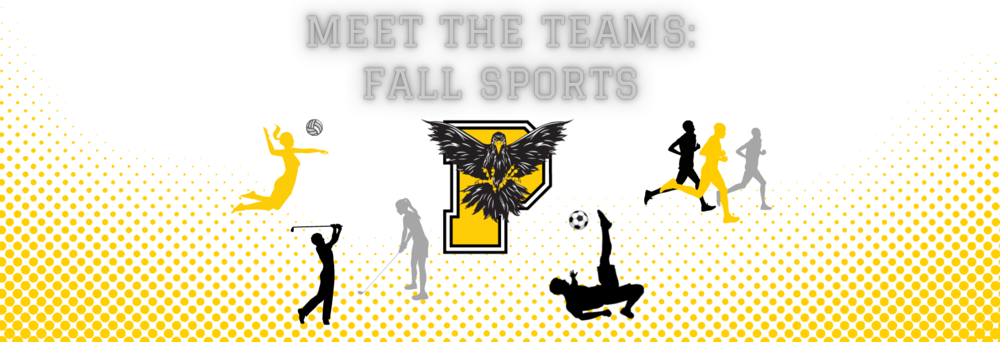Meet The Teams: Fall Sports