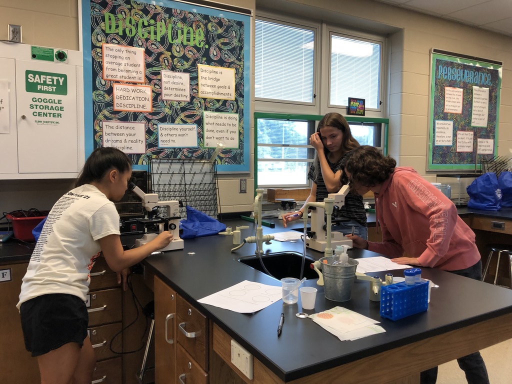 lab 3