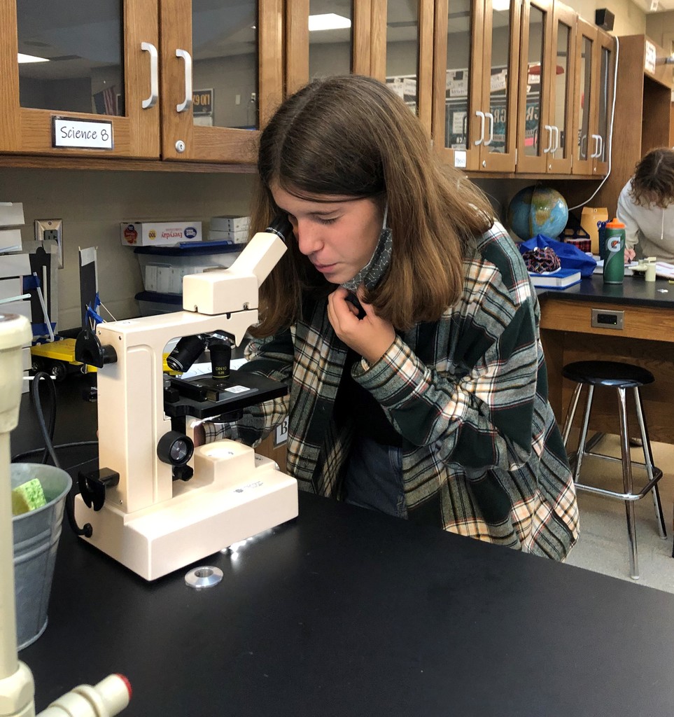 lab