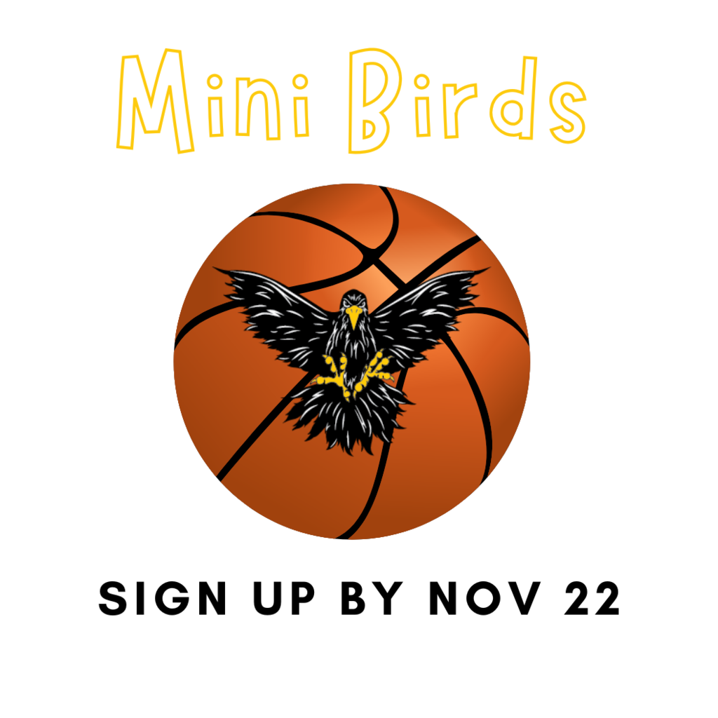 Mini Birds Basketball
