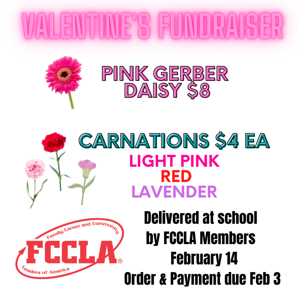 FCCLA Vday