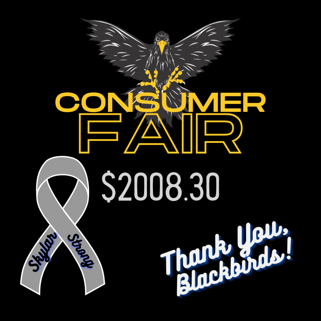 consumer fair total